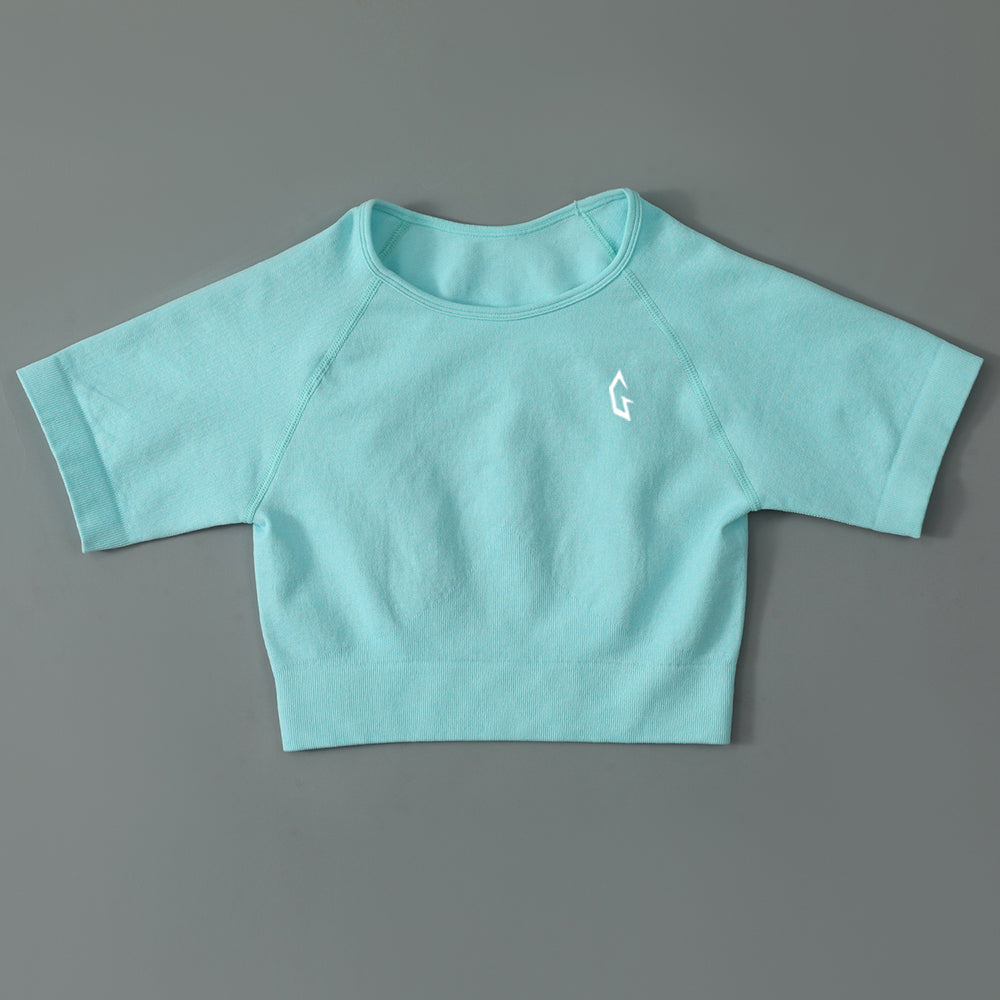Aspire Seamless Crop Top
